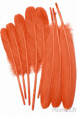 Cigno seta - 25-30 cm - caramello